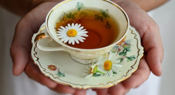 Цілюще чаювання: трави для щастя та здоров'я 
