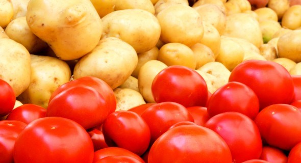Як вберегти помідори і картоплю від хвороб і виростити гідний урожай