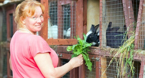 Рацион питания кроликов: чем и как их кормить?