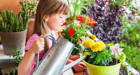 Цветник на балконе: как оформить мини-сад у себя дома