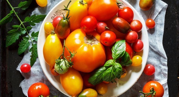 Лучшие и проверенные сорта томатов. Обзор