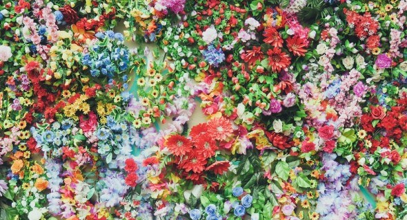 Таємна чарівність запашних квітів: як створити сад ароматів