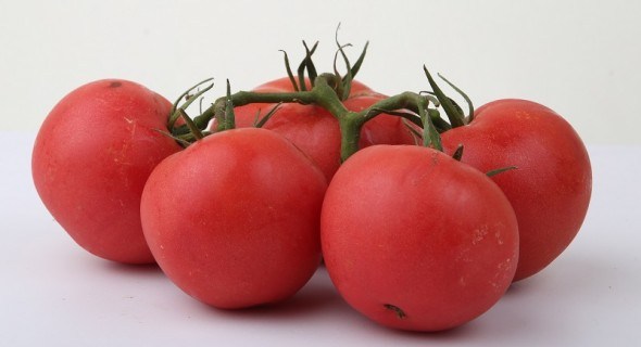 Новинки сортів томату від ТМ Lucky Seed