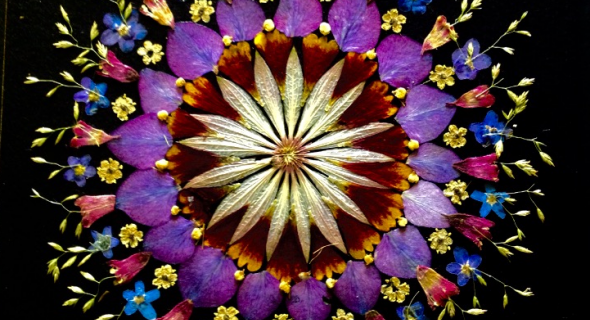 Флористична релаксація: створюємо квіткову мандалу у техниці ошібана 