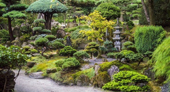 Гармонія Всесвіту у воді і камені: основи створення японського саду 