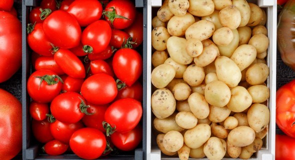 Гербіцид «Містраль»: картопля і помідори без клопоту