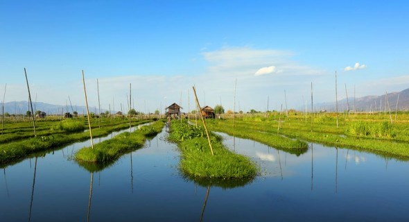 Огороды на воде: Мьянма, Мексика и Украина