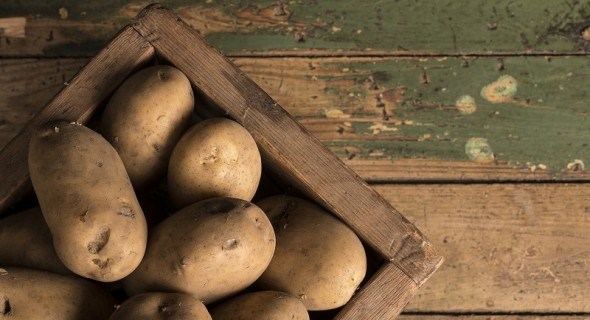  Виростити – це половина справи: правильно зберігаємо врожай картоплі 