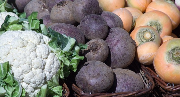 Бережіть запаси: хвороби овочів і коренеплодів при зберіганні та захист від них 