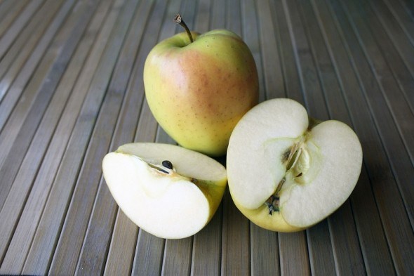 як лікувати яблука від гнилі насінневої камери плодів  