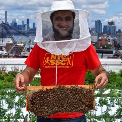 пчеловод в Brooklyn Grange 