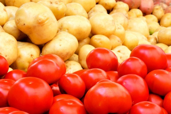 Як вберегти помідори і картоплю від хвороб
