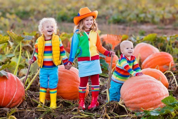Дети осень поле тыквы уборка урожая