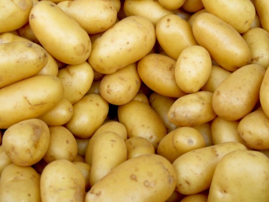 Парша картоплі