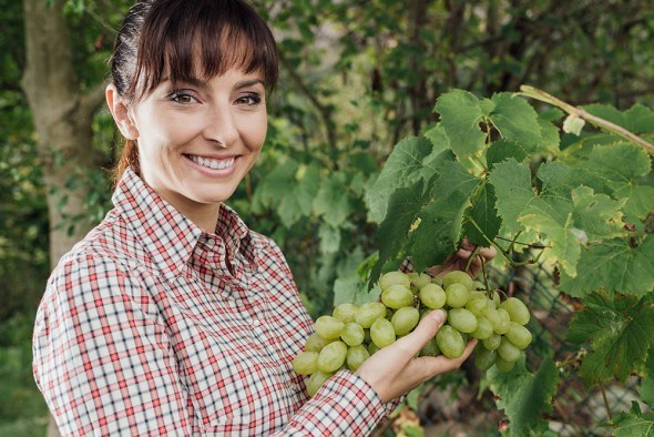 Девушка виноград урожай