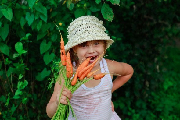 Девочка ест немытую морковку 