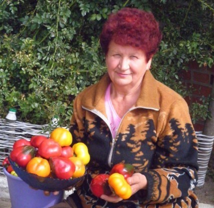 Улюблені Гогошари: досвід вирощування перцю для захоплених городників
