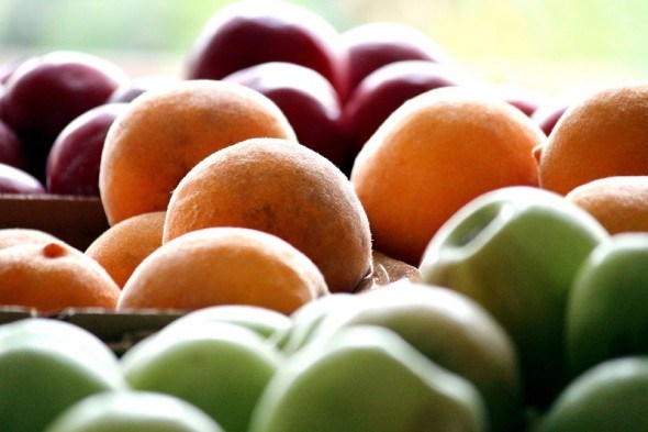 Істівні ліки: які корисні речовини містяться у фруктах, ягодах та горіхах 
