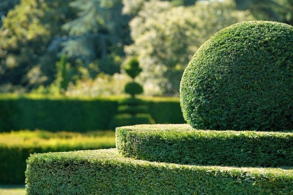 Зелена пластика: формувальна обрізка рослин у ландшафтному дизайні 