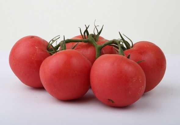 Новинки сортів томату: стійкі до вірусів, зі смачніми великими плодами... 