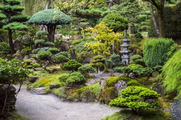 Японський сад 