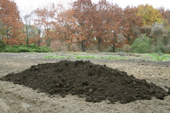 Способы как повысить плодородие песчаной почвы
