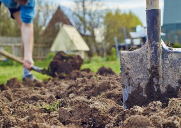 лопата на огороде в земле