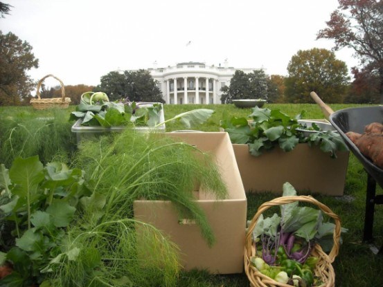 Огород в Белом Доме