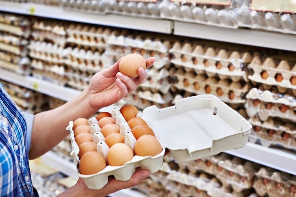 Как определить свежесть яиц?