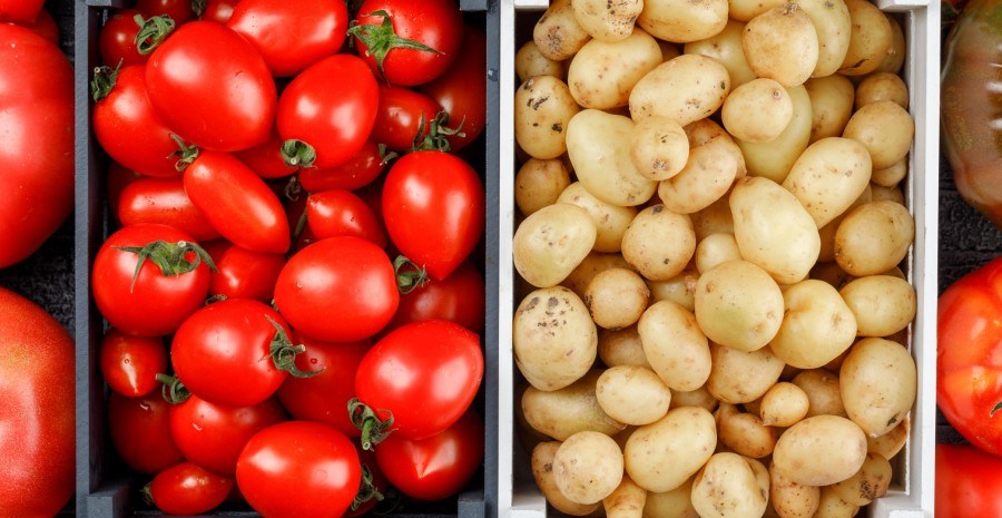 Гербіцид «Містраль»: картопля і помідори без клопоту